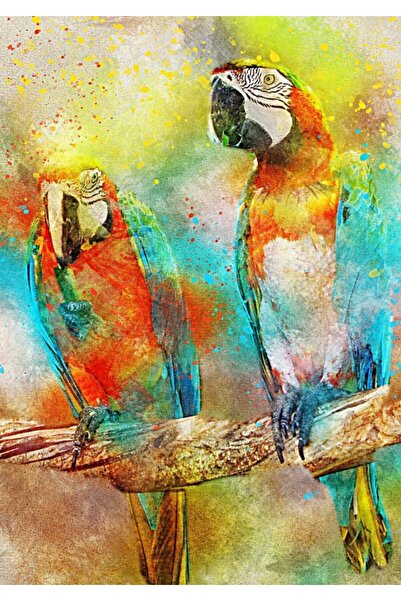 Bluebird Παζλ 1000 κομματιών - Παπαγάλοι (Bluebird-Puzzle-F-90136)