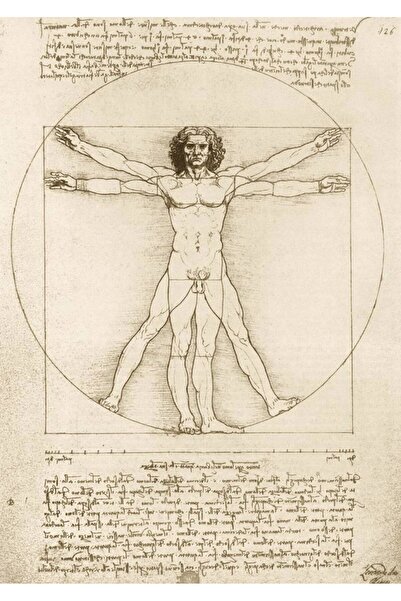 Bluebird Puzzle 1000 piese Puzzle - Leonardo Da Vinci: The Vitruvian Man, 1490