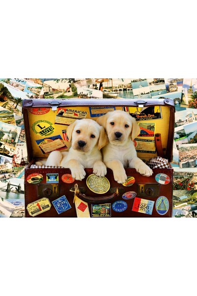 Bluebird Puzzle - Two Travel Puppies, 1000 pieces (Bluebird-Puzzle-70237-P)