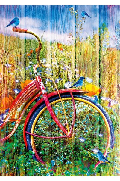 Bluebird Puzzle - Bluebirds on a Bicycle, 1000 piese (70300-P)