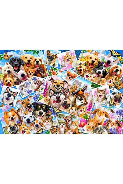 Bluebird Puzzle 300 piese Puzzle - Robinson Howard: Selfie Pet Collage (Blueb...
