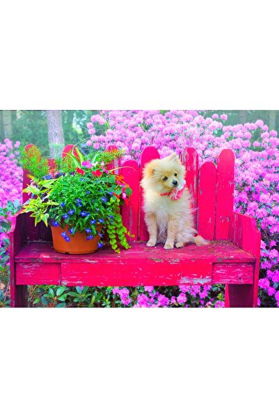 Bluebird Puzzle 500 pieces Puzzle - Puppy in the Colorful Garden (Bluebird-Pu...