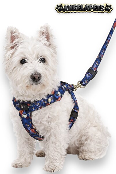 Angelapets Dog Chest Harness and Walking Strap Set