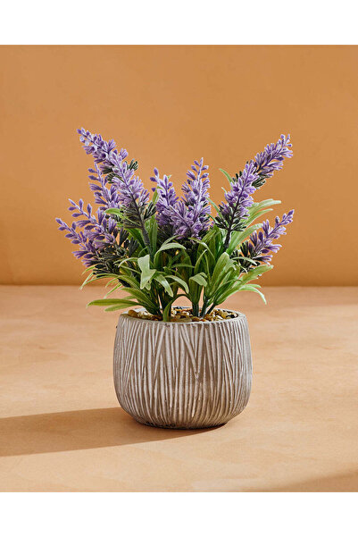 REDTAG نبات الخزامى الاصطناعي مع وعاء للزراعة