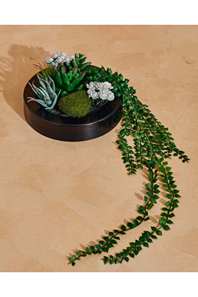 REDTAG Green Artificial Succulent with Plastic Pot