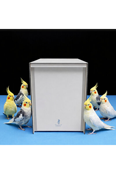 Smyrna Sultan Papağanı Compact Kompozit Profesyonel Sağ Yan Yuvalık