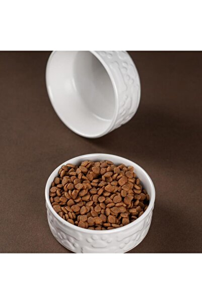 Pettrend Beyaz Kedi Köpek Mama Kabı 2li Seramik Kabartmalı Kedi Köpek Mama ve...