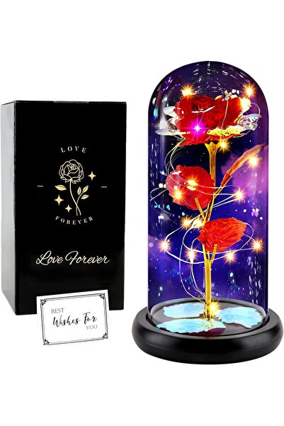 OEM Frumoasa și Bestia - Trandafir Etern, Cadou de Trandafir Galactic pentru ...