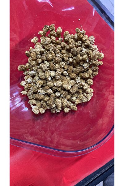 ALANYADAN TROPİKAL Beyaz Dut Kurusu – 150 Gr – Yerli – Kuru Dut