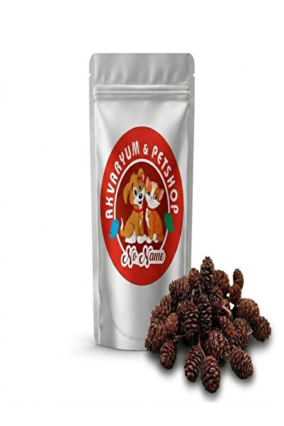 nonamepetshop Kızılağaç Kozalağı 35 Adet