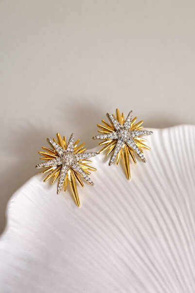 LooRen Butik Double Color Pole Star Zircon Stone Gold Earrings – Sparkling and Stylish Design Lrn041