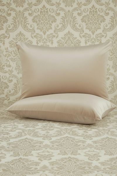 FARCY 2 Pieces Premium Series Velvet Fabric Cloud Pillow (50 X 70 cm)