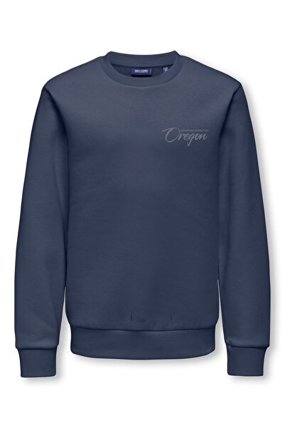 Only & Sons Sweatshirt OSJCERES Sweatshirt