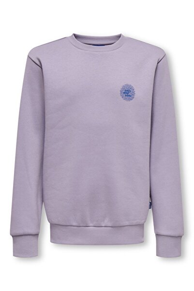 Only & Sons Sweatshirt OSJCERES Sweatshirt