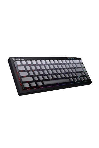 gamdias Πληκτρολόγιο gaming E8, Με μπανέλα, USB, φωτισμός RGB (μαύρο/γκρι)