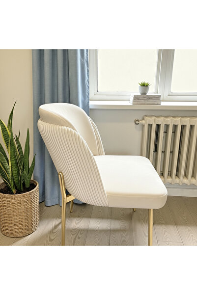 MSY HOME 2 Kişilik Aura Gold Serisi Puffy Krem Sandalye Takımı Modern