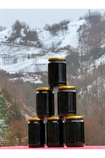 AŞIKLAR VADİSİ BAL Erzurum Yöresi Dut Pekmezi 1KG