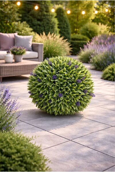 Generica ديكور كورة لافندر