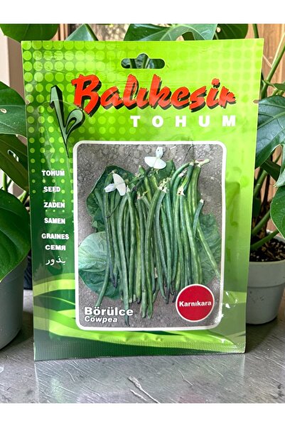 BALIKESİR TOHUM Karnıkara Börülce Tohumu 5 Gr