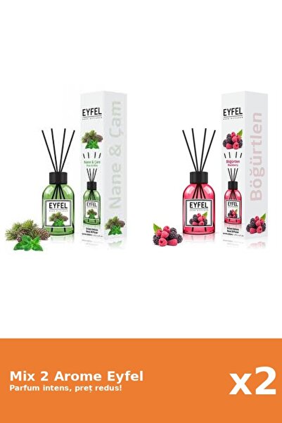 Eyfel Set 2 Mix Eyfel: 1x Fructe De Padure, 1x Pin Si Menta