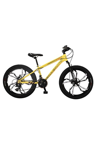 Salcano Lion 24 Jant Disk Fren Çocuk Bisikleti Monoblok Jant 21 Vites Çocuk D...