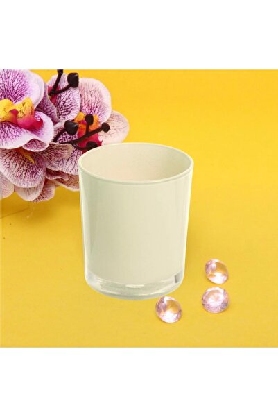 İV BLUE PURPLE 6 Pieces Cream Flat Glass Cups - Suitable for Filling