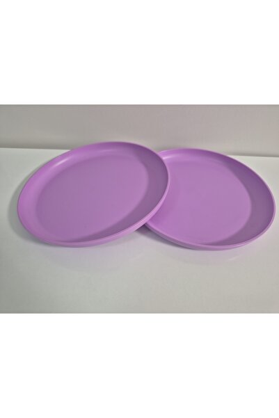 Tupperware Picnic Plate Set of 2