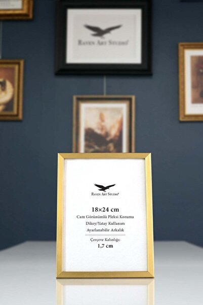 Raven Art Studio Ermitaj 18X24 cm Gold Picture Photo Document Poster Document...