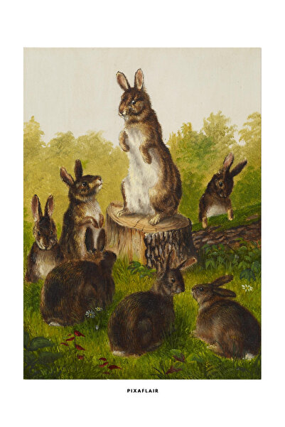 Pixaflair - Rabbits by William Jacob Hays Sr - Tablo - Çerçevesiz Poster