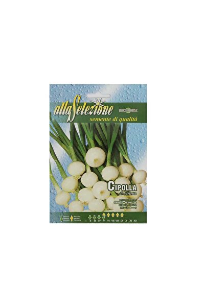 Alta Seeds Onion AVS 42/1