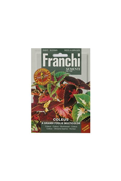 Alta Coleus Seeds FFS314/1