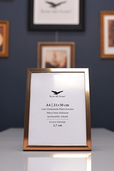 Raven Art Studio Ermitaj A4 Μέγεθος 21cm x 30cm Inox Bronze Εικόνα Φωτογραφία...