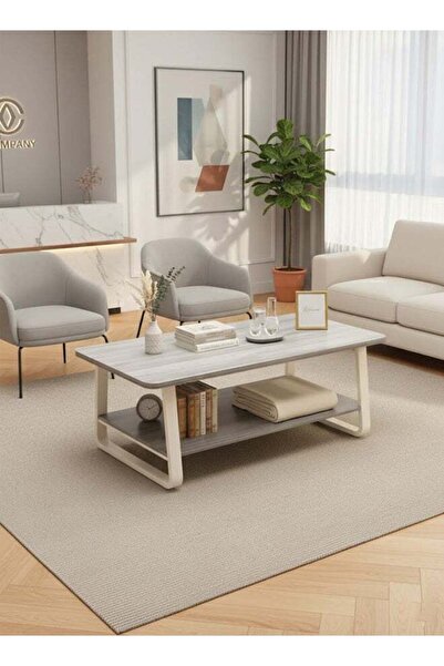 Taimi 2-Tier Wooden Coffee Table with Metal Legs, Modern Table for Living Roo...
