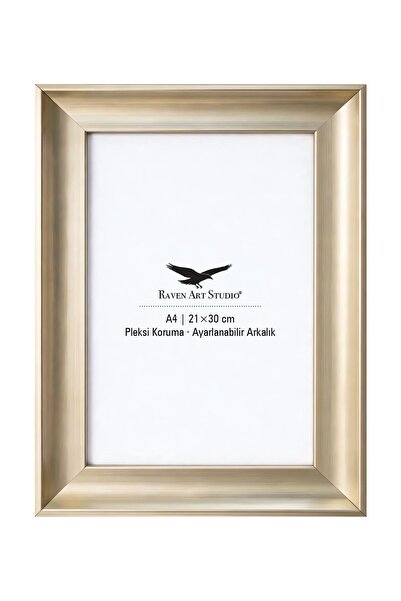 Raven Art Studio Pyramid A4-21x30cm Platinum Picture Foto Document Poster Ram...