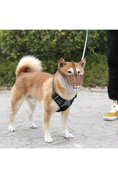 Mestore طوق معدني للكلاب من كاراميل بيت جلد مقاس S 30 سم - KP-MTLAGZLK-S