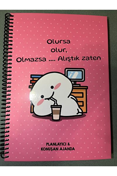 CHEMDLE Stickerlı Konuşan Haftalık Planlayıcı & Ajanda – 24x18 cm | Renkli, E...