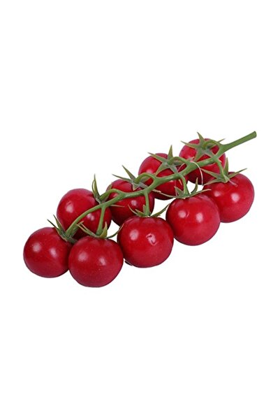 Raki Planner, Figurina rosii cherry decorative 20x10cm