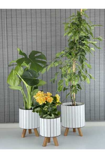 Bahçem Ayaklı Ahşap 3'lü Dekoratif Yuvarlak Saksı Seti İç Saksılı Tasarım Usl...