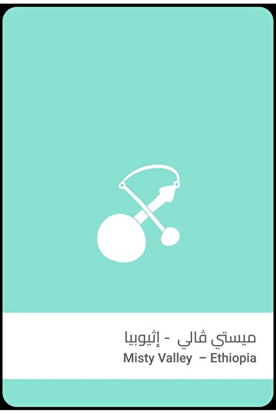 SULALAT حبوب قهوة إثيوبيا ميستي فالي 250 غرام