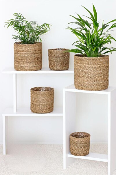 Bayev Hasır 5 Boy Yuvarlak Poşetli Saksı Set - 5 Adet Doğal Hasır Saksılık Se...