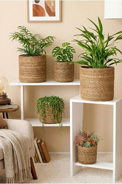 Bayev Hasır 5'Li Yuvarlak Poşetli Saksı Set - Doğal Hasır Saksılık