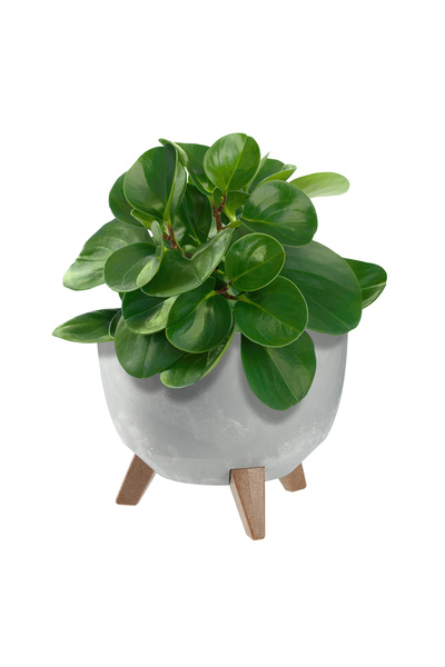 KADAX Ghiveci de flori 24cm, capac + picioare, suport de flori din plută, gri