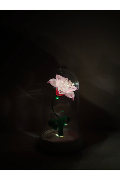 Kibele Sanat Dekoratif Ledli Rapunzel Zambağı (Prenses Aurora) Teraryum Fanus...