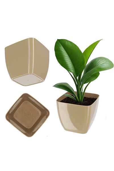 KADAX Ghiveci de flori, Ghiveci de flori, Pătrat, 12 cm, Plastic, Suport pent...