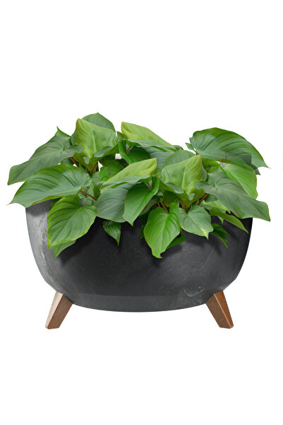 KADAX Ghiveci de flori 47cm, capac + picioare, jardinieră din plută, negru