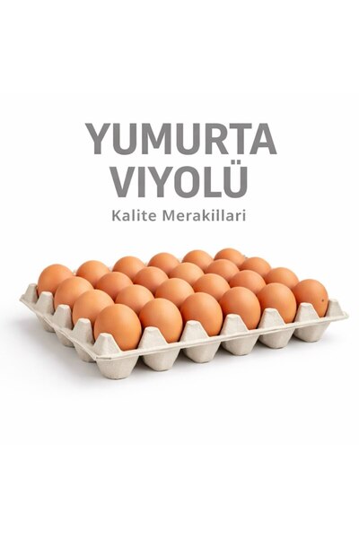 Kalite Meraklıları (12 Adet)30'lu Karton Yumurta Viyolü (12 Adet 17lbs)- Víyo...
