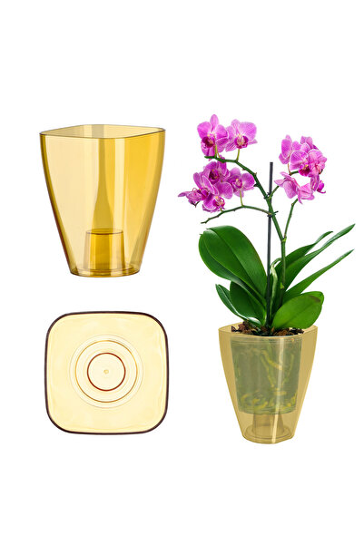 KADAX Capac pentru ghiveci de flori pentru orhidee, ghiveci de flori din plas...