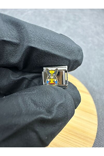 Mutenaura Stainless Steel Nomination Charm