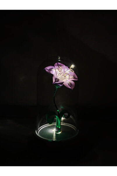 Kibele Sanat Dekoratif Ledli Rapunzel Zambağı (Prenses Sofia) Teraryum Fanus,...