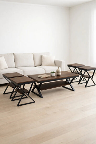 MARIA HOMES Modern 5-Piece COFEE Center Table Set with Metal Frame and Wood F...